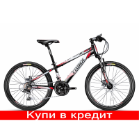 Trinx К034/24/13